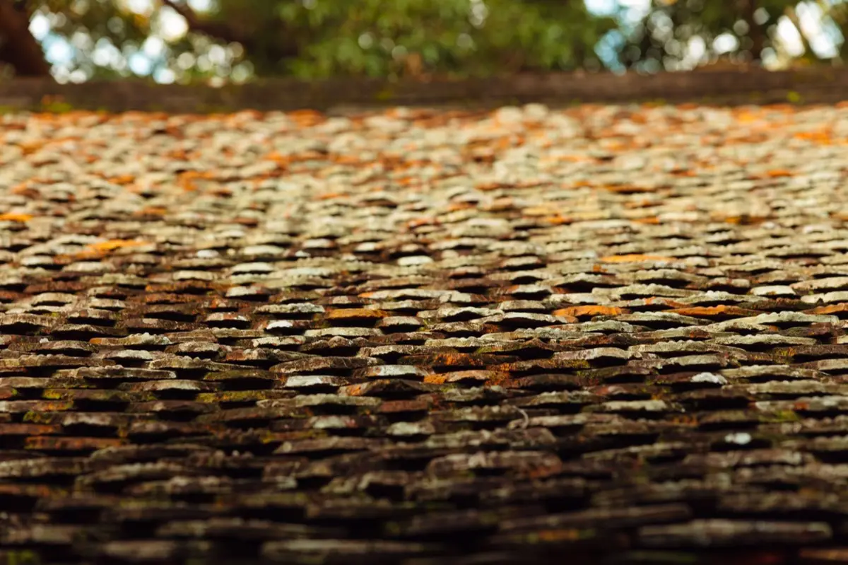 Aging shingle roof with moss growth and granule loss in Alamogordo, NM